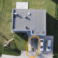 Ieškome, kas suplanuotų ir/ar padėtų įsigyti augalus kiemo vienos zonos apželdinimui