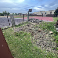 Apželdinimas