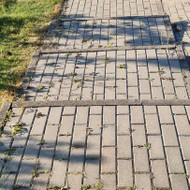 Privataus namo kiemo prieziura