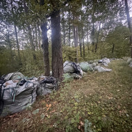 Šiukšlių išvežimas