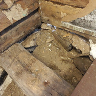 Rastinio namo paruosimas renovacijai/vidaus apdailai