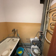 San mazgo renovacija