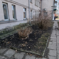 Darželio apželdinimas