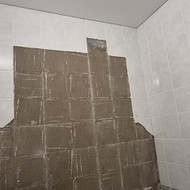 Reiktų perklijuoti vonioje vieną sieną