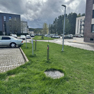 Kiemo aplinkos apželdinimas