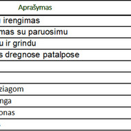 Vidaus apdaila