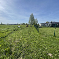Apželdinimas, sodinimas, įrengimas, gerbūvis