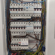 Patyrusio elektriko