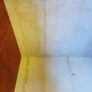 Sienu glaistymas, paruosimas dazymui