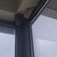 Vidaus remoto darbai