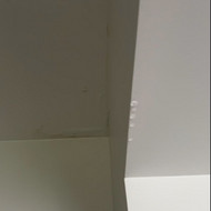 Sienų ir lubų dažymas