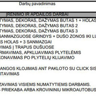 Buto įrengimo darbai