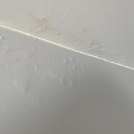 Dekoratyvinio remonto po kaimynu uzpylimo