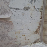 Reikia apsiltint siena iš vidaus ir paruošt tapetavimui