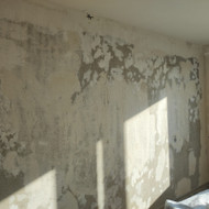 Ieškau gerų meistrų miegamojo sienų apdailai