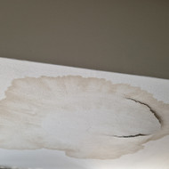 Tinkavimas sienu dazymas