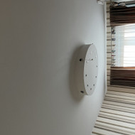 Reikia nudaužyti iš gipso suformuotą lempą, pašpakliuoti  ir perdažyti lubas