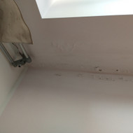 Buto sienų, lubų remontas, dažymas po užpylimo