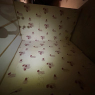 Sienų tinkavimas, glaistymas 30 m2 bute Vilniuje