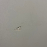 Sienų glaistymas ir dažymas