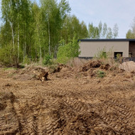 Reikia išvežti medžių liekanas, krūmus