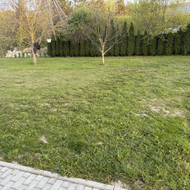 Ieškau kas pasodintų žolę