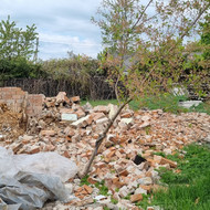 Bobcat nuoma