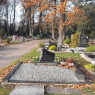 Kapų tvarkymas, priežiūra