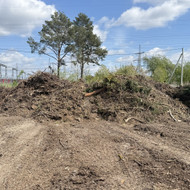 Žaliųjų atliekų išvežimas
