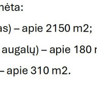 Sitkūnuose (Kauno raj.) teritorijos sutvarkymas
