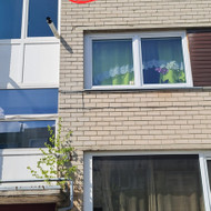 Ieškau aukštalipio apkalti fasado dailylentes