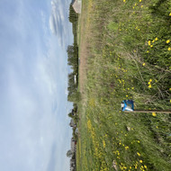 Grunto tyrimai (geologija), Topografine nuotrauka (su antžemiu ir požemiu)