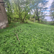 Apleistų sklypų tvarkymas