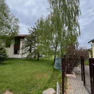 Beržo genėjimas