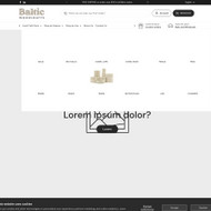 E-parduotuvės kūrimas/tobulinimas