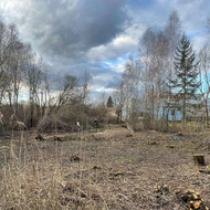 Kelmų rovimas