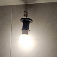 Ieškau, kas pakabintų du šviestuvus (vonioje ir wc) ant šoninių sienų