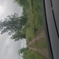 Aukštos žolės pjovimas
