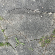 Asfaltavimas