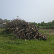 Šakų, kelmų išvežimas
