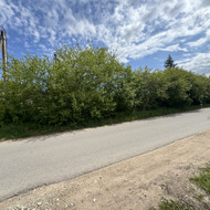 Krūmų iškirtimas