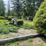 Kapų tvarkymas, priežiūra