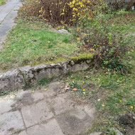 Fiskaras, fiskaro paslaugos