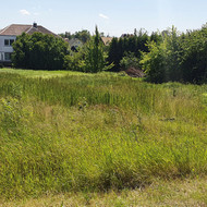 Sklypo lyginimas
