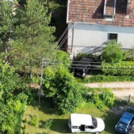 Medžių genėjimas, pjovimas