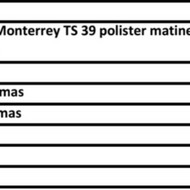 Stogo remontas