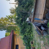 Išvežti šakas