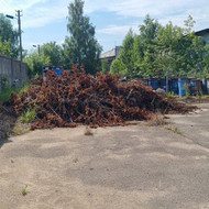 Šakų išvežimas