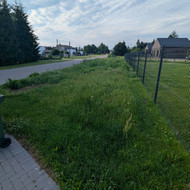 Žolės pjovimas
