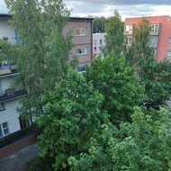 Medžių genėjimas